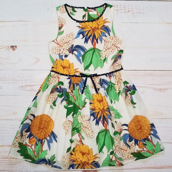 Next Bright Floral Fit & Flare Dress